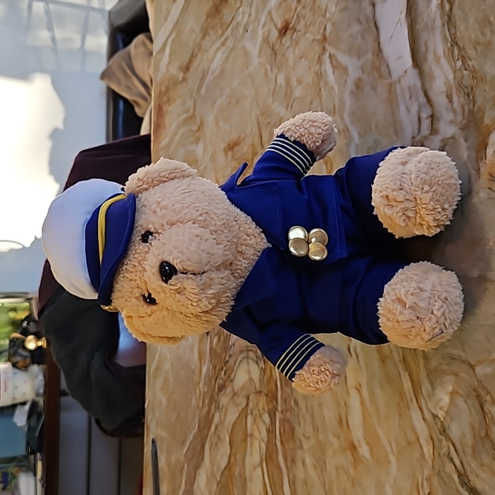 Ship Captain Stuffed Animal Bear Plush Toy